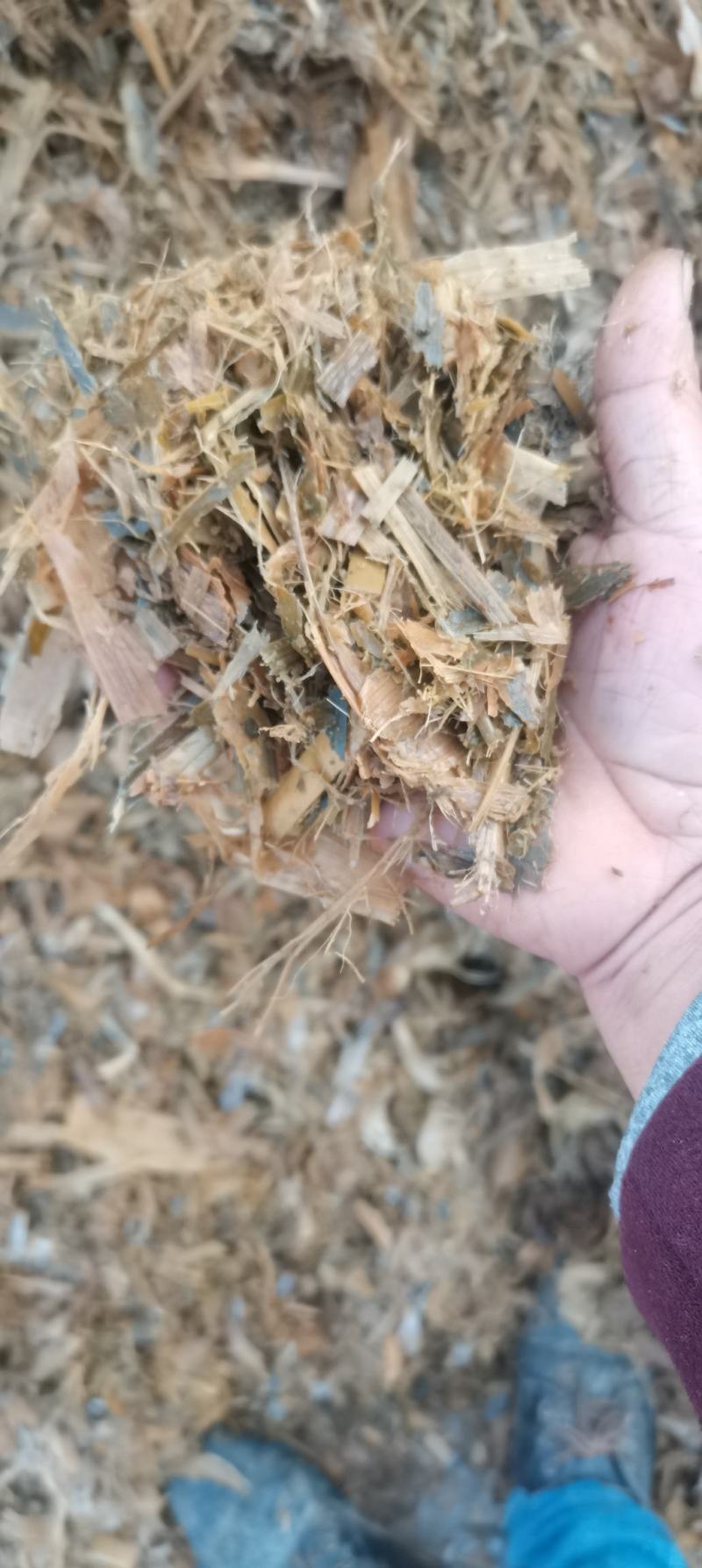 精品黄储饲料适口性和营养价显著的提高易消化