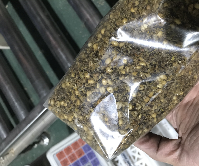羊肚菌的营养包预定，单袋平均含干小麦0.35斤