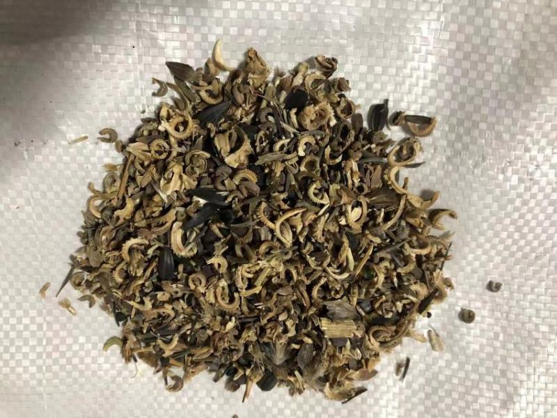 野花组合种子室外庭院易活花种籽子七彩格桑花四季开花太阳花
