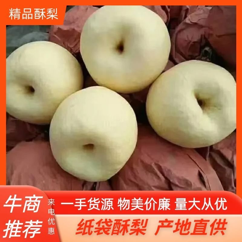 【酥梨】纸袋酥梨产地直供诚信经营口感脆甜量大从优物美价廉