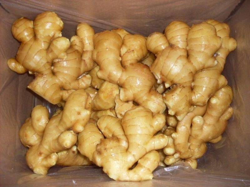 山东生姜精品大黄姜产地供应代发全国商超电商对接