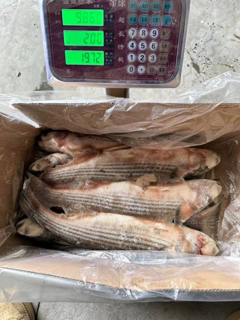 70一件，19斤净重