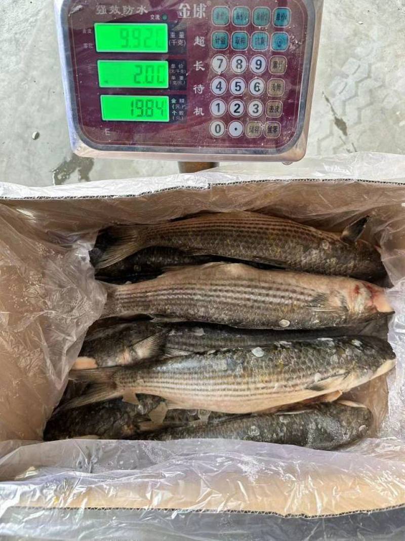 70一件，19斤净重