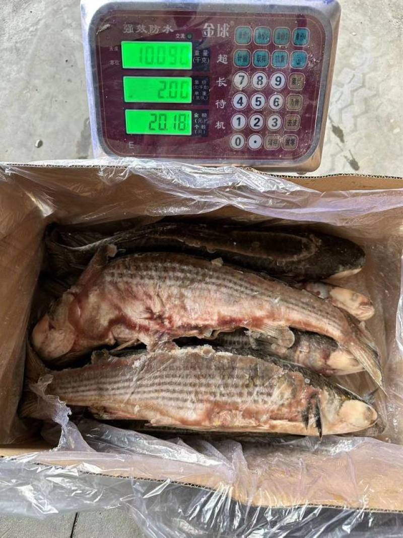 70一件，19斤净重