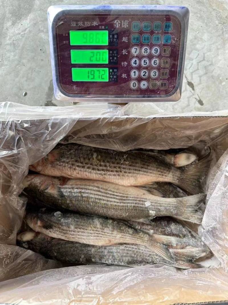 70一件，19斤净重