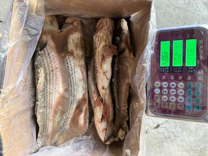 70一件，19斤净重