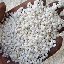 白糯米是贵州大山里山泉水来种植的。