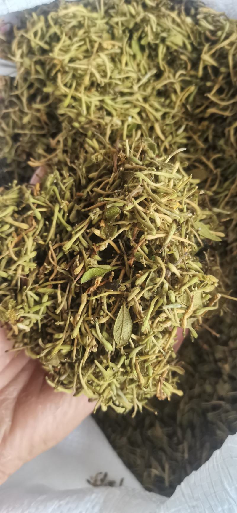 金银花