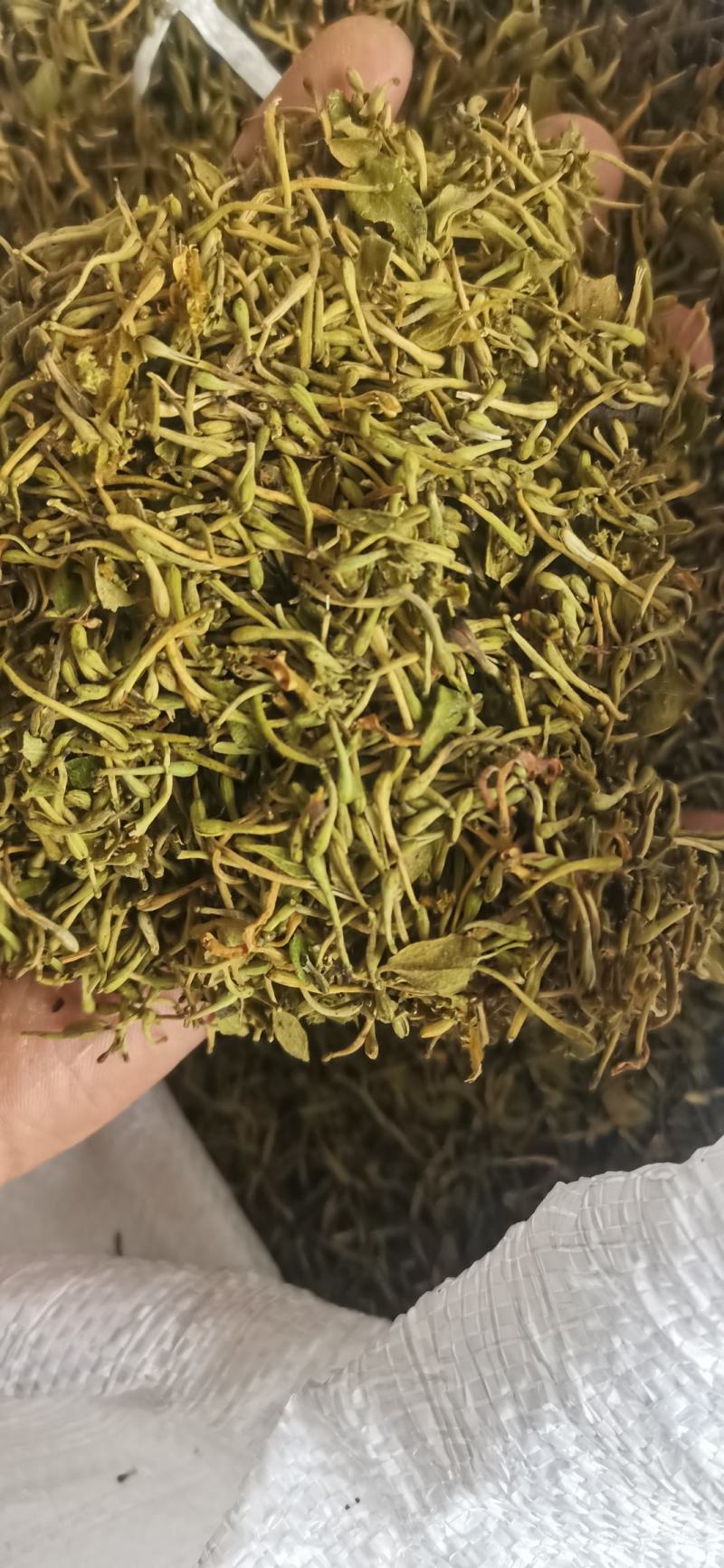 金银花