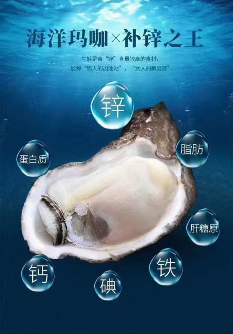 蚝肉《热销，钦州特色海产品，白蚝，一手货源》