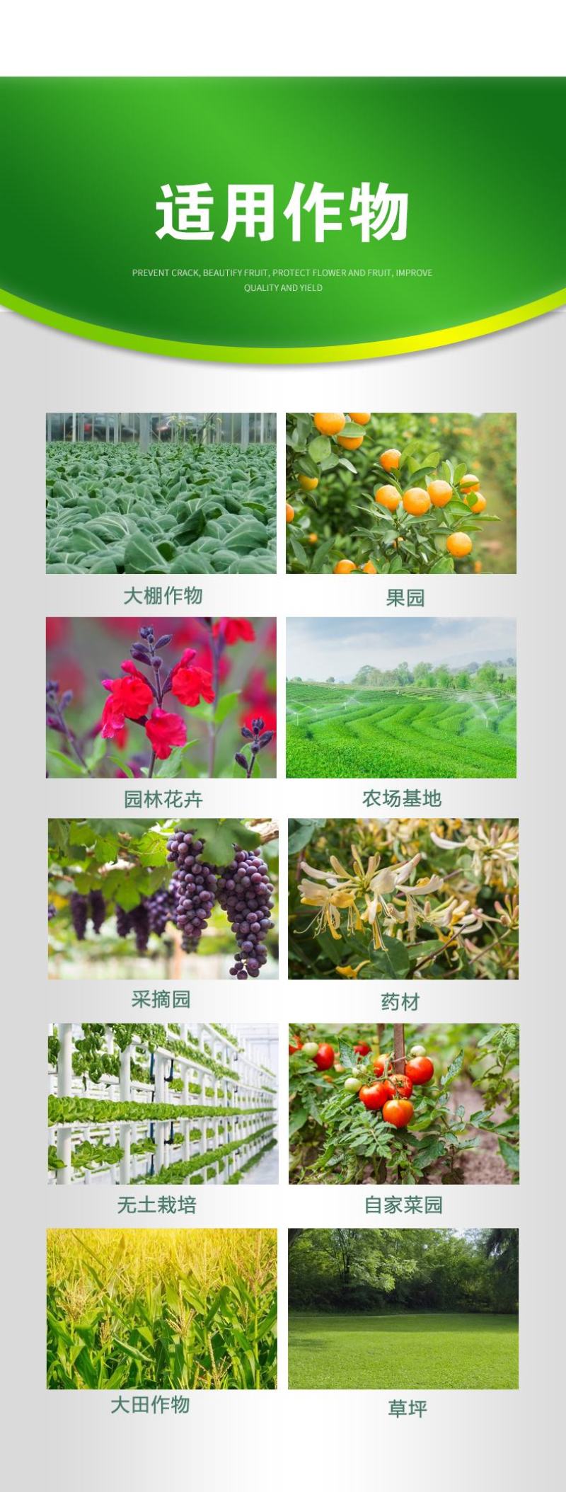 浓缩鱼蛋白水溶肥优化土壤强力生根鱼肥