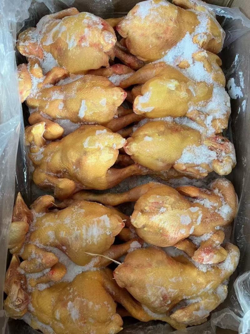 二级小肉食