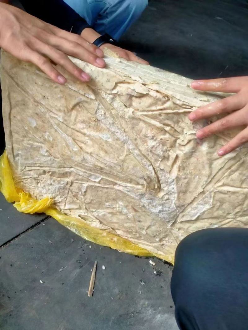 板冻鸡胗油