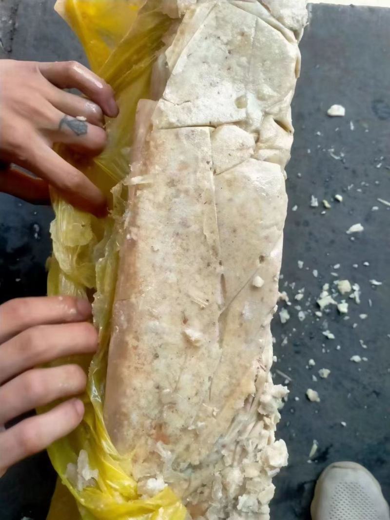板冻鸡胗油