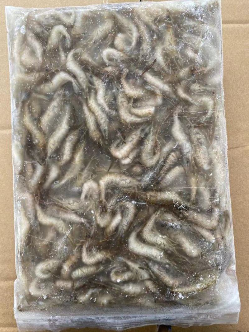供应大量河虾冷冻河虾