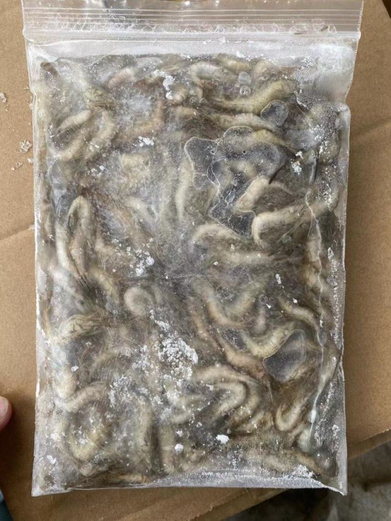 供应大量河虾冷冻河虾