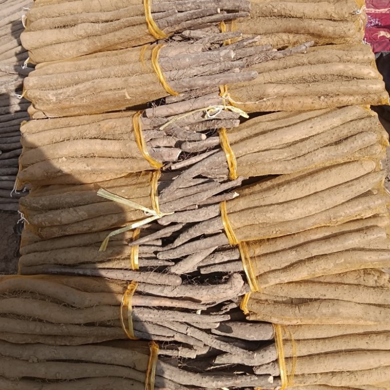 大名县网袋山药