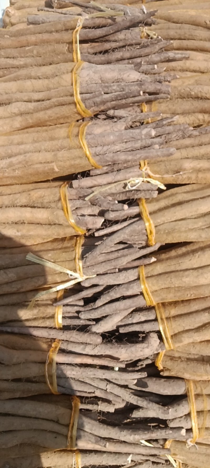 大名县网袋山药