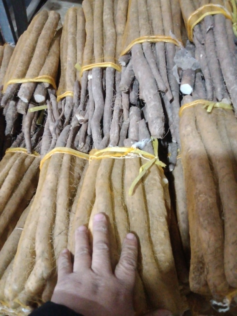 大名县网袋山药
