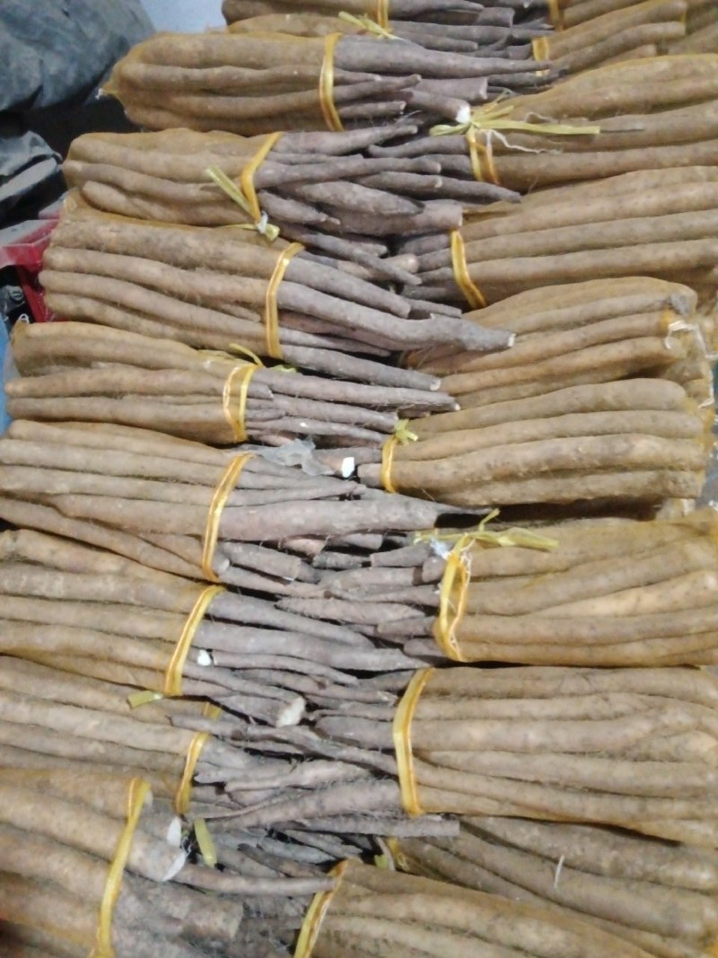 大名县网袋山药