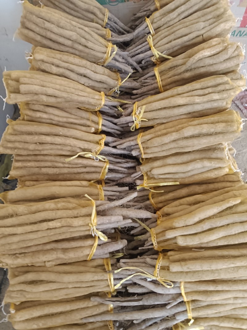 大名县网袋山药