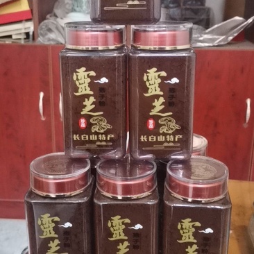 网红推荐推荐菌香浓郁不苦油花多煲汤茶饮灵芝孢子粉