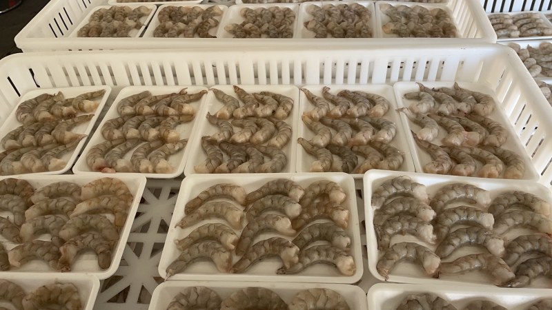虾仁无冰衣虾仁大虾仁江苏海鲜水产批发