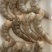 虾仁无冰衣虾仁大虾仁江苏海鲜水产批发