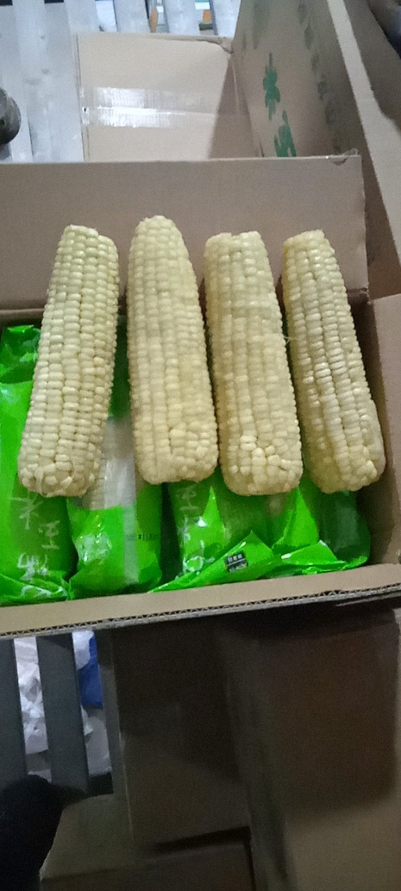 东北吉林甜糯玉米