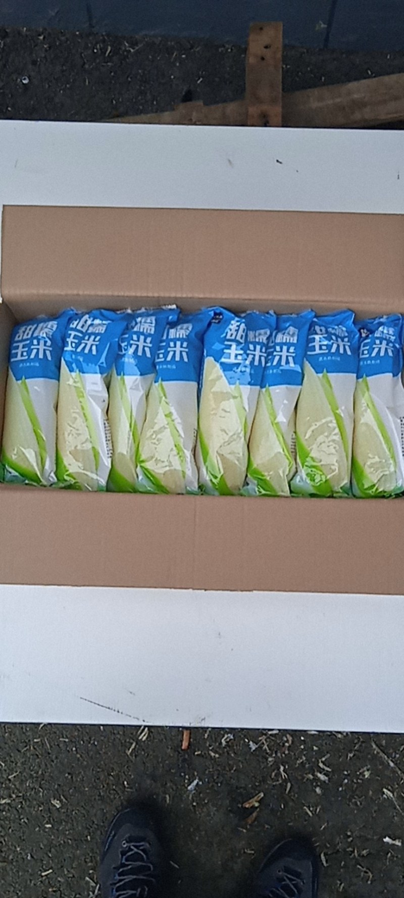 东北吉林甜糯玉米