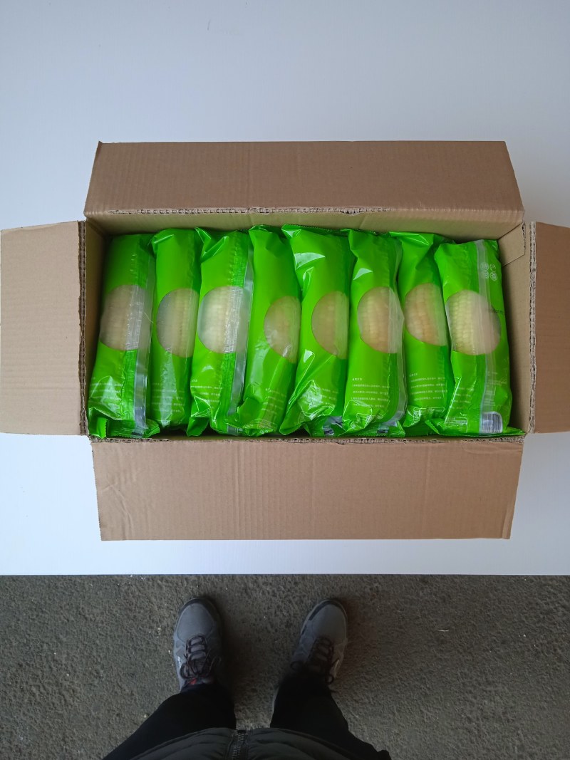 东北吉林甜糯玉米