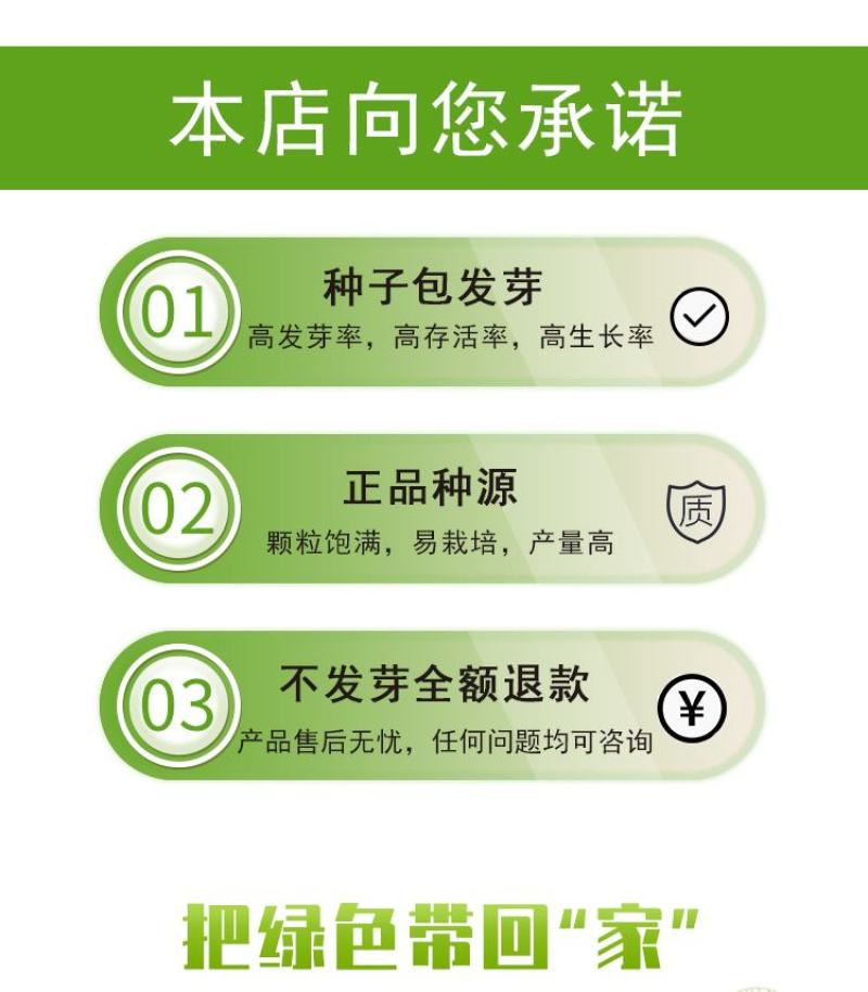 角堇种子三色堇室内阳台盆栽室外庭院耐寒春秋开花四季易种活