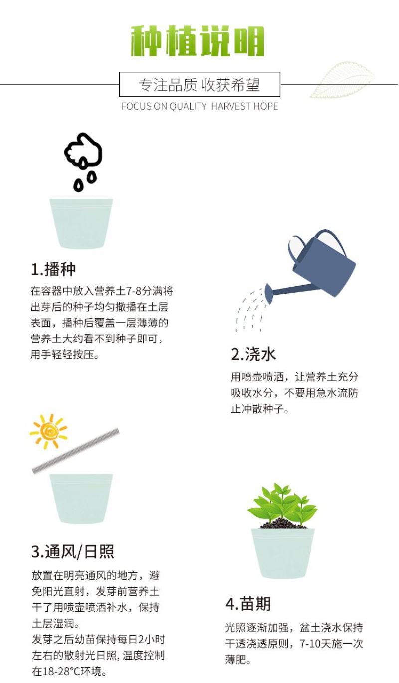 角堇种子三色堇室内阳台盆栽室外庭院耐寒春秋开花四季易种活