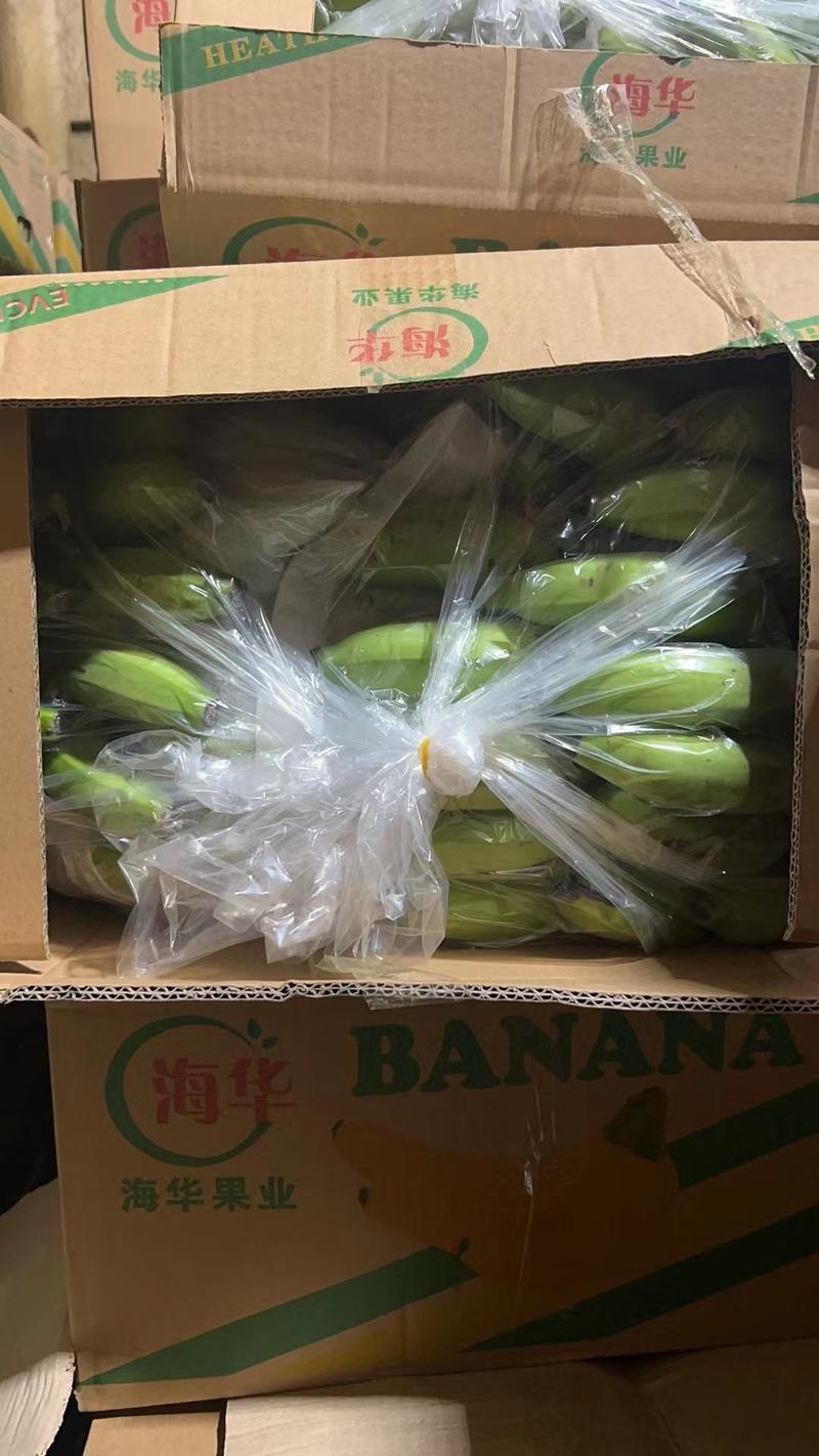 精品香蕉青蕉二黄三黄蕉软糯香甜可口无花皮产地直发全国