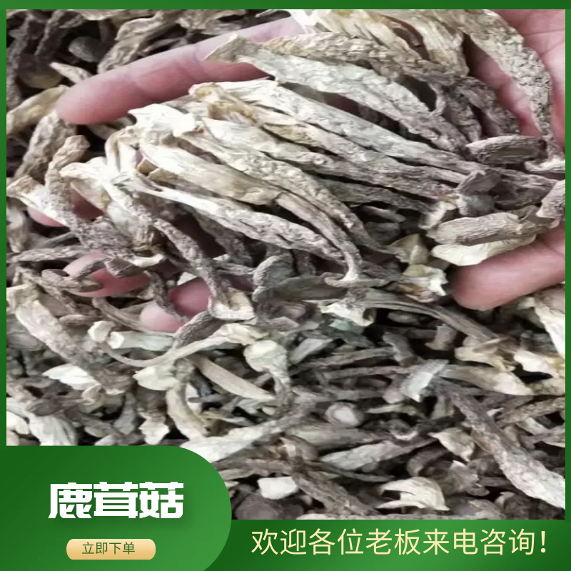 优质的鹿茸大量批发，欢迎来店选购各种规格都有，量大从优