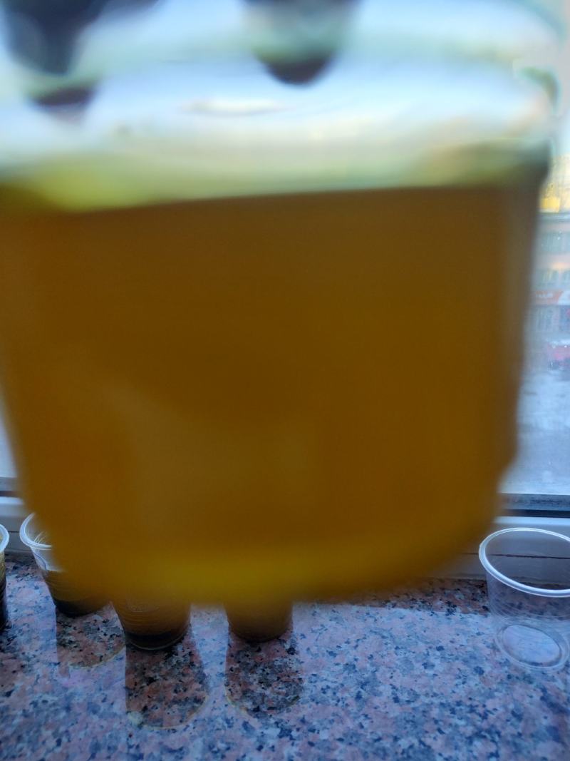 [牛]优质油菜籽，一级新疆油菜籽大量上市，产地现货直发