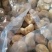 厂地上车价猴头菇6一8精品价格稳定对接电商来电询价