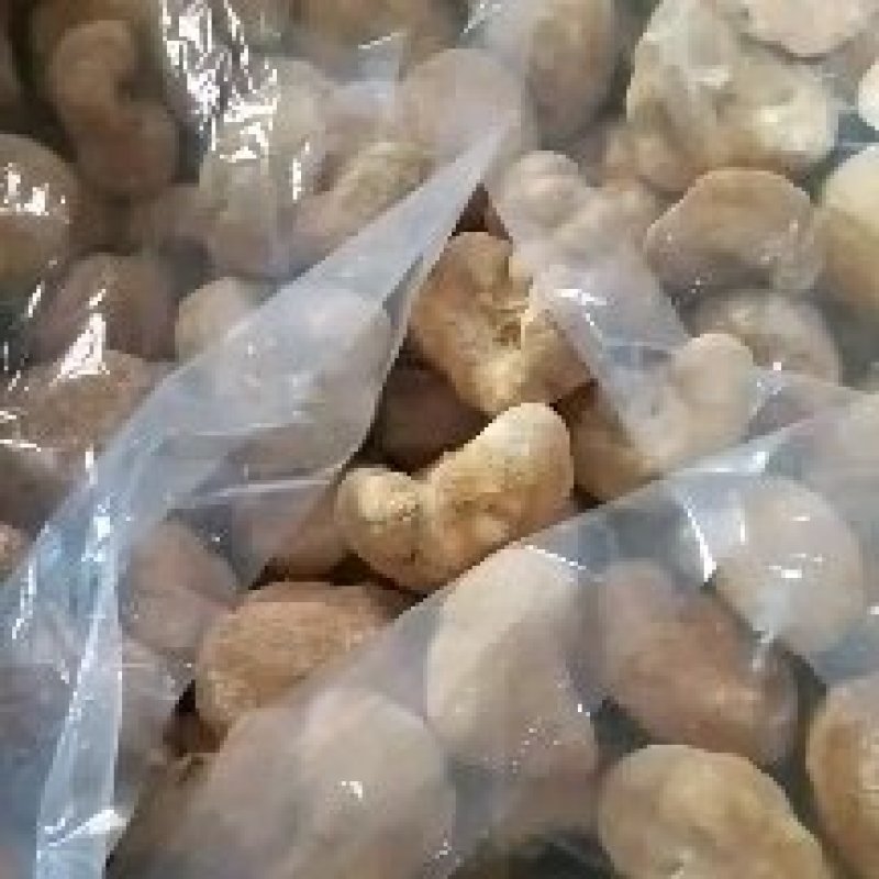 厂地上车价猴头菇6一8精品价格稳定对接电商来电询价