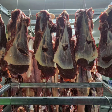 全牛肉
