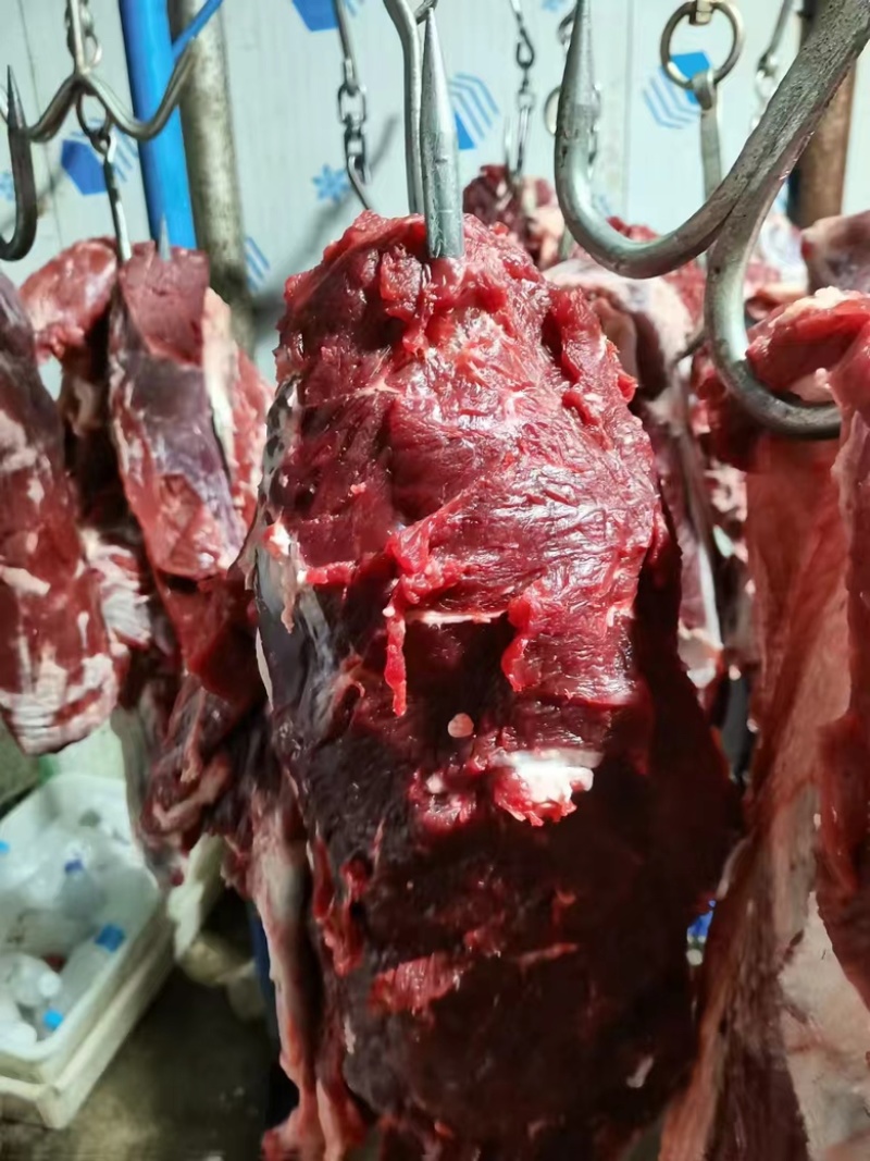 全牛肉