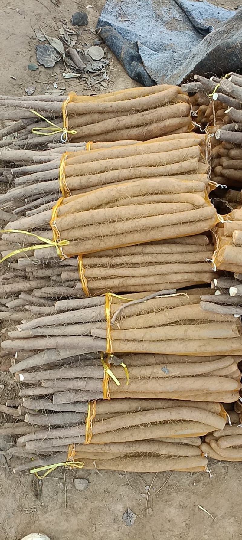 大量现货，产地直发，直供电商，社区团购，超市，批发市场