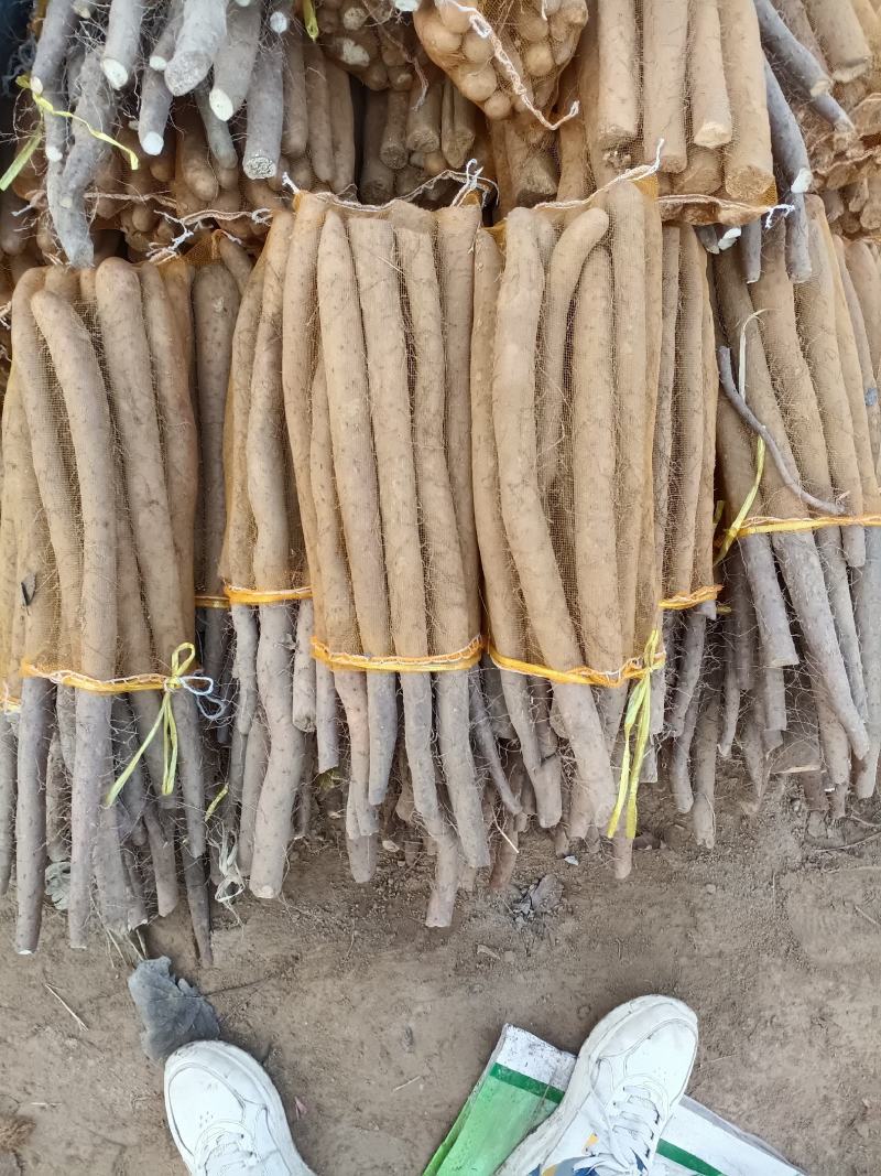 大量现货，产地直发，直供电商，社区团购，超市，批发市场