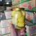 河北遵化党峪食品罐头又肥又多汁，脆爽甘甜，无任何香精防腐