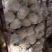 河南鲜花菜大量现货,青梗面白小米花,长期供应