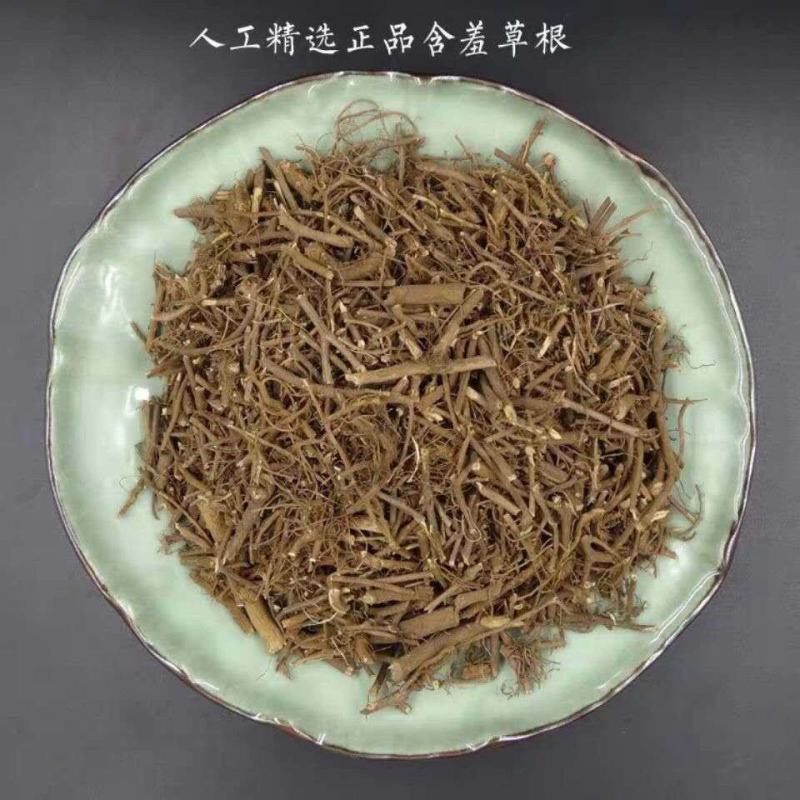 中药材含羞草正品新货包邮