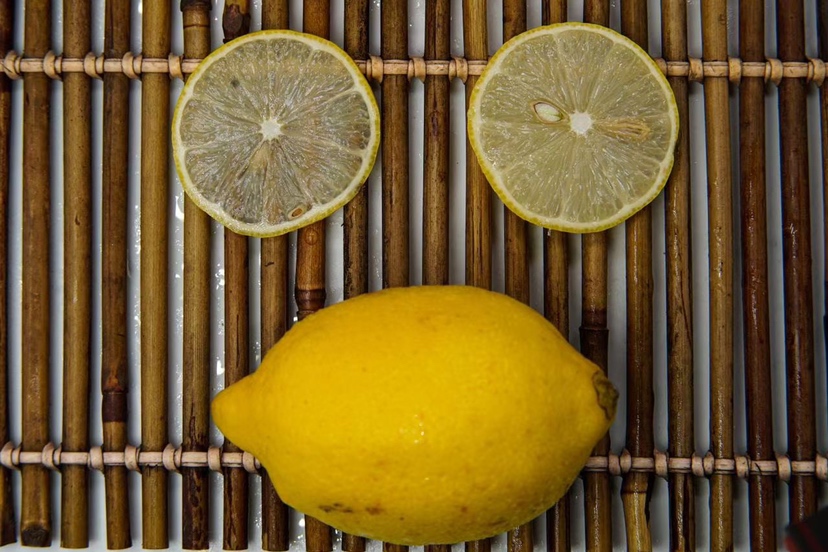 安岳黄柠檬果实特写