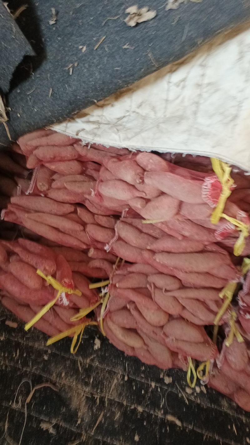 各种规格，产地直发