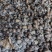 源头好粪生物肥料：发酵羊粪、颗粒羊粪