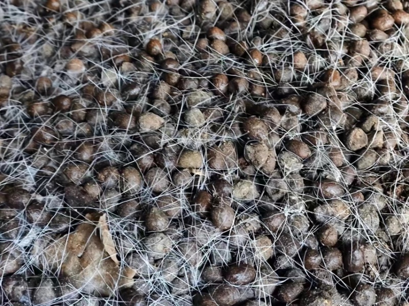 源头好粪生物肥料：发酵羊粪、颗粒羊粪