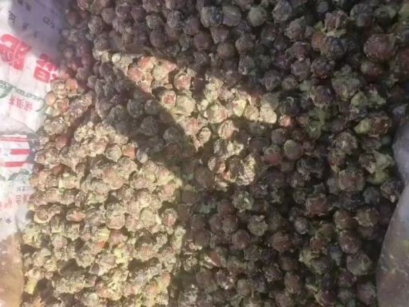 牛油果种子